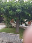 Resized_20170702_190719_20170702_190812.jpg