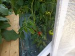 tout doucement 4 07 1 7.jpg