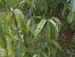 DSCN4958.JPG