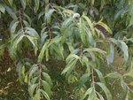 DSCN4962.JPG
