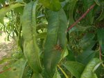 DSCN4959.JPG