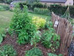 20170706_211251-1632x1224.jpg