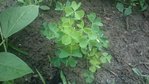 PHOTO_20170702_121418-2448x1377.jpg