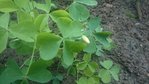 PHOTO_20170702_121411-2448x1377.jpg