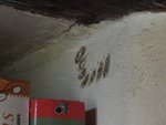 Les vestiges du camp démantelé.