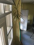 IMG_0678.JPG