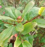 IMG_20170714_111207.jpg