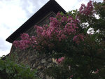 fleur3.jpg