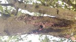 20170712_194511.jpg