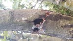 20170712_194545.jpg