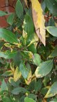 20170714_161551_1.jpg