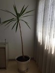 20182214_2067703960123905_364449788_o.jpg