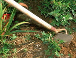 outils-jardin.jpg