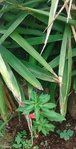 IMG_20170719_165330.jpg