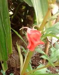 IMG_20170719_165240.jpg