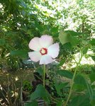 IMG_20170721_091303.jpg
