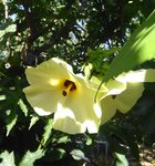 IMG_20170721_091351.jpg