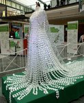 690af67d7efdcace498d1da9bedbfad6--plastic-bottle-caps-recycled-plastic-bottles (1).jpg