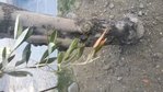 20170720_194037.jpg