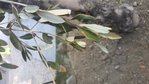 20170720_194051.jpg