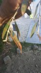 20170720_194118.jpg