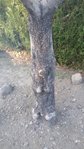 20170720_194221.jpg