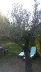20170720_194231.jpg