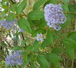 20170723_103436-ConvertImage.jpg