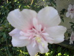 DSCN7807.JPG