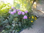 DSCN7843.JPG