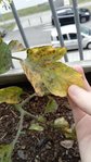 thumbnail_DSC_0223.jpg