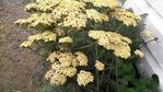20170725_174656.jpg