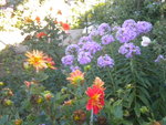 DSCN7841.JPG