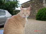 DSC02261.JPG