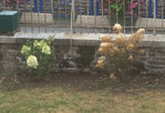 IMG-1746.JPG