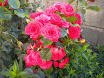 DSCN7812.JPG