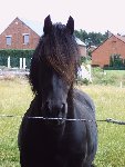 Le 21-06-2008 021.jpg