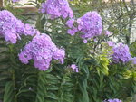 DSCN7828.JPG