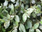 IMG_1671.JPG