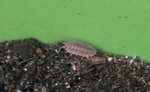 IMG_20170730_185226.jpg