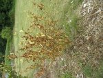 100_3838.JPG