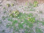 Resized_20170801_203044.jpeg