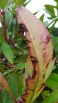 IMG_20170804_185101.jpg