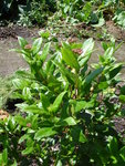 rsz_dsc05854.jpg