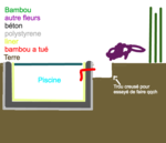 problemeBambou.png