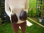 2 enormes aubergines.jpg