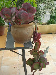 DSCN3102.JPG