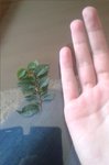 20170814_170646.jpg
