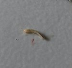 20170815_133733-1-1.jpg