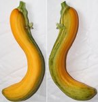 courgette.jpg